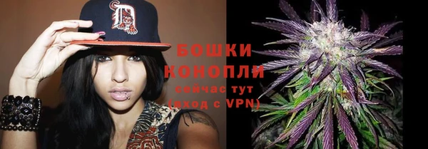 гашик Артём