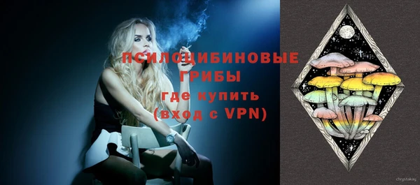 mix Богородицк