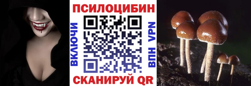 Псилоцибиновые грибы прущие грибы где купить наркотик Вышний Волочёк